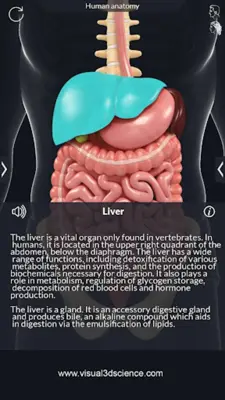 Human Anatomy android App screenshot 10