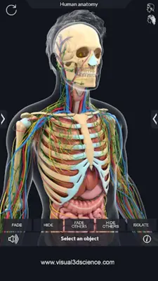 Human Anatomy android App screenshot 11