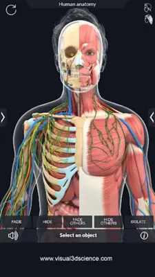 Human Anatomy android App screenshot 12