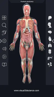 Human Anatomy android App screenshot 14