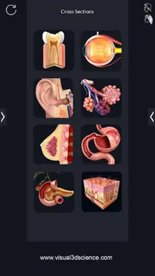 Human Anatomy android App screenshot 15