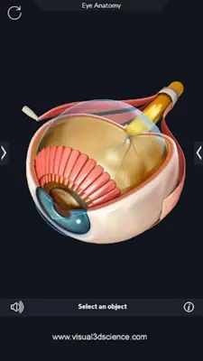 Human Anatomy android App screenshot 6