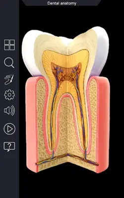 Human Anatomy android App screenshot 7